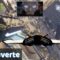 Découverte QANGA : le SPACE OPERA Français, mélange parfait entre Star Citizen et Cyberpunk 2077 ?