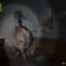 GAMEPLAY ALAN WAKE 2 – GRAPHISMES À FOND – RESOLUTION 4K – RTX 4090 – LANGUE FRANCAISE